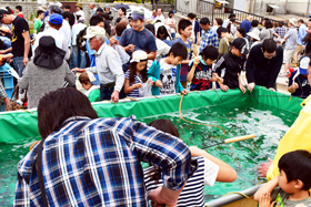 写真：洲本市水産まつり